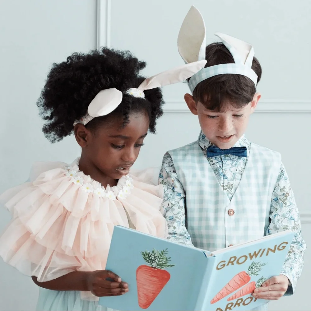 🐰Meri Meri Dusty Mint Gingham 2-Piece Bunny Costume Vest & Ears Set O/S